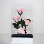 Forever Spray Roses