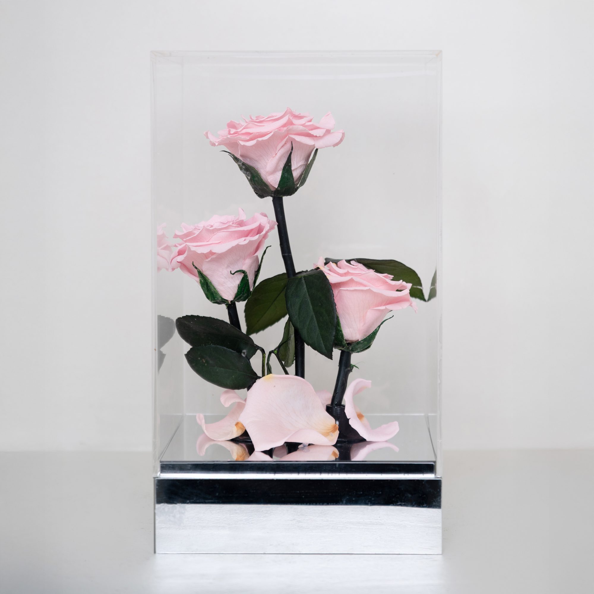 ALE_0914 Forever Spray Roses - Image 1