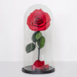 Forever Rose