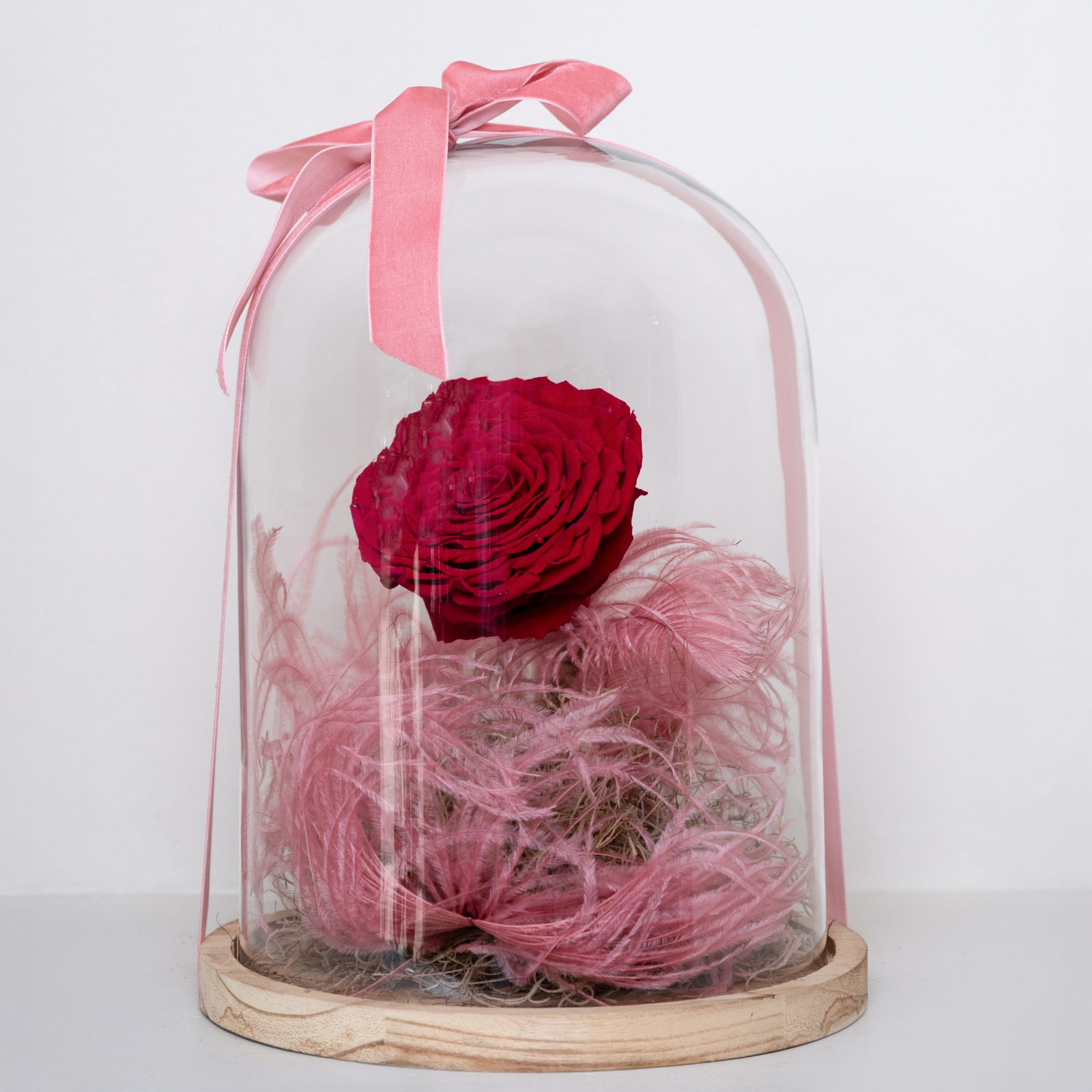 ALE_0920 Red Forever Rose - Image 1