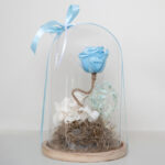 Blue Forever Rose