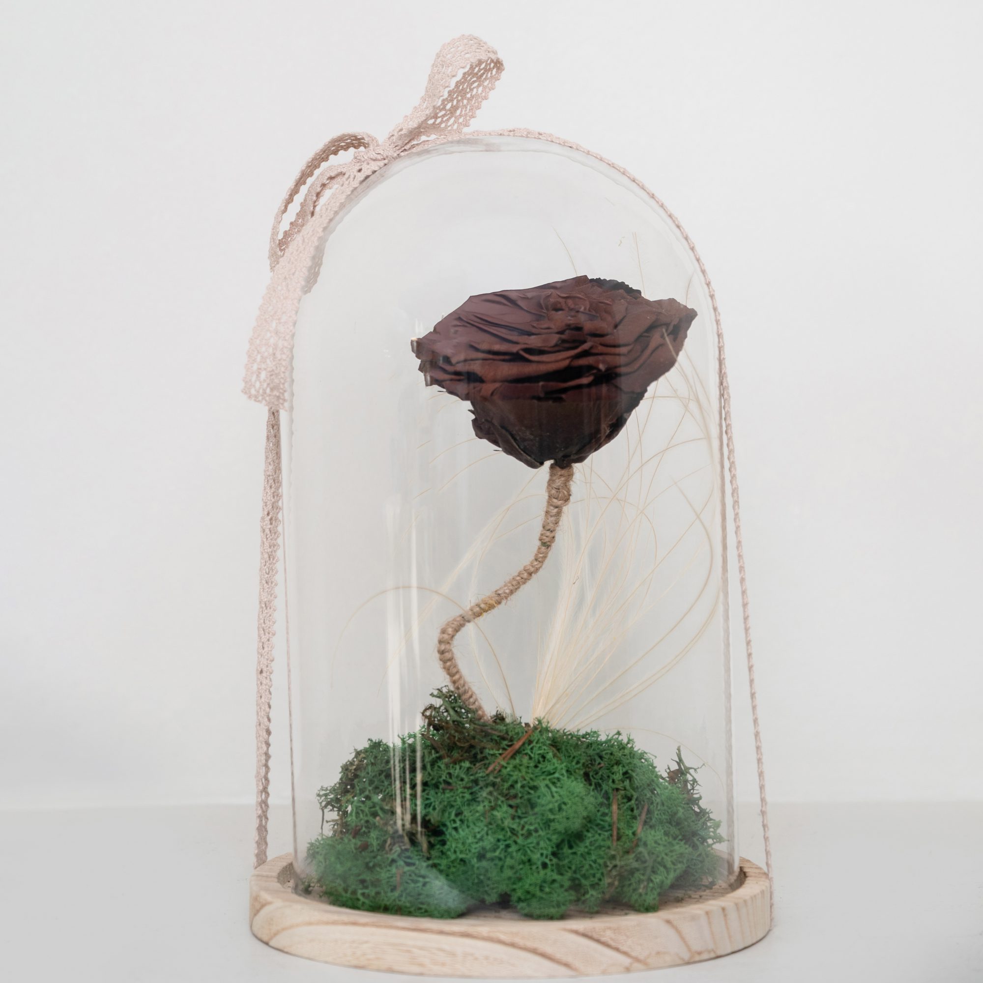ALE_0928 Chocolate Forever Rose - Image 1